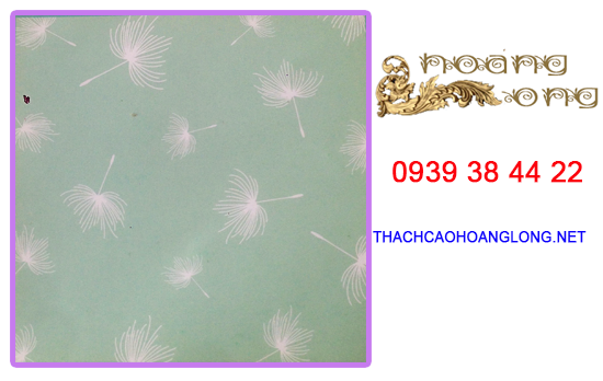 Tấm thạch cao thả 057